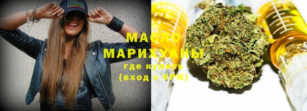 ешки Инта