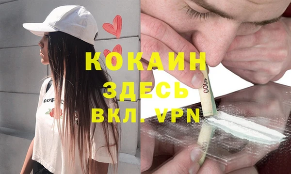 ешки Инта