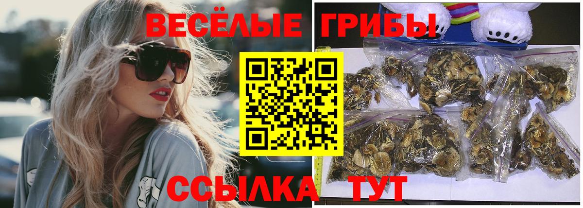 Псилоцибиновые грибы Magic Shrooms Волжский