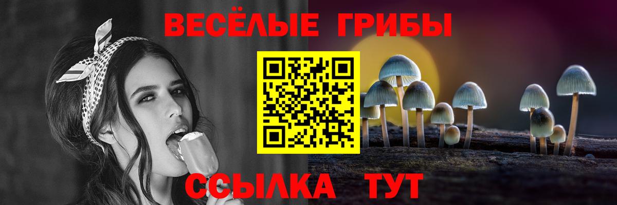 Псилоцибиновые грибы прущие грибы  Псилоцибиновые грибы Cubensis  Вход с VPN  цены наркотик  Волжский 